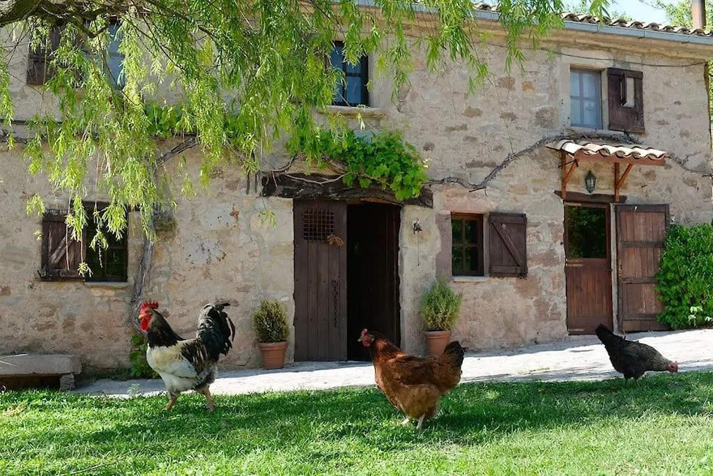 Maison d'hôtes Can Riera à Santa Eulalia de Ríuprimer Espagne